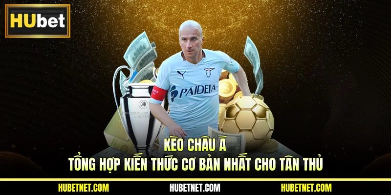Kèo châu Á - Tổng hợp kiến thức cơ bản nhất cho tân thủ