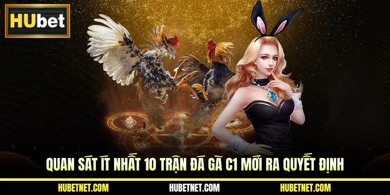 Quan sát ít nhất 10 trận đá gà C1 mới ra quyết định